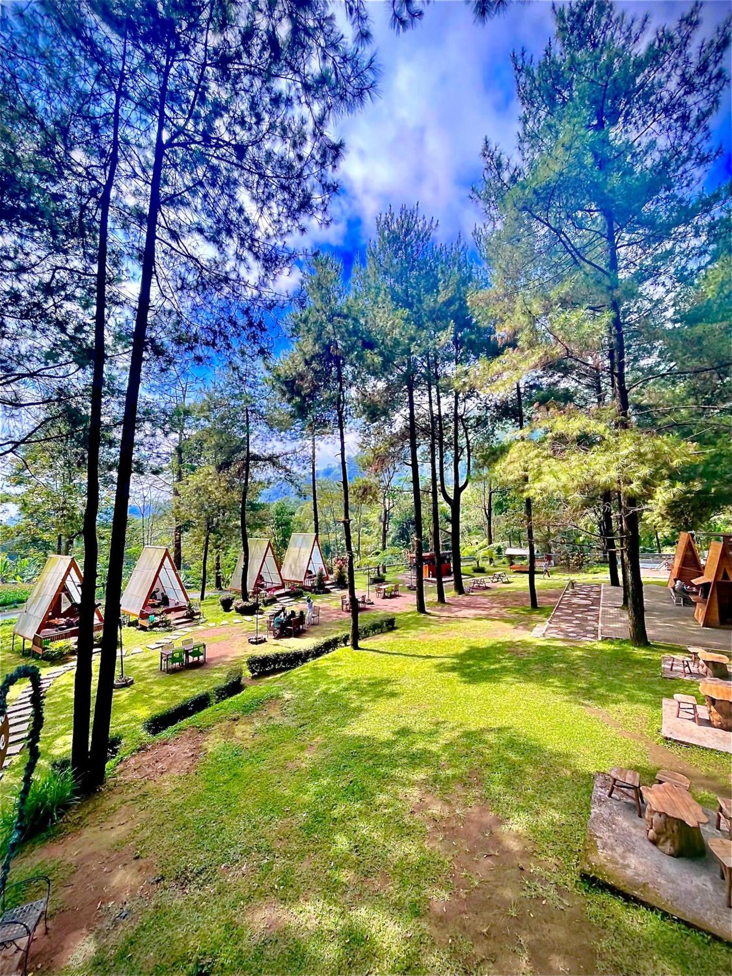 Grand Whiz Hotel Bromo Dış mekan fotoğraf