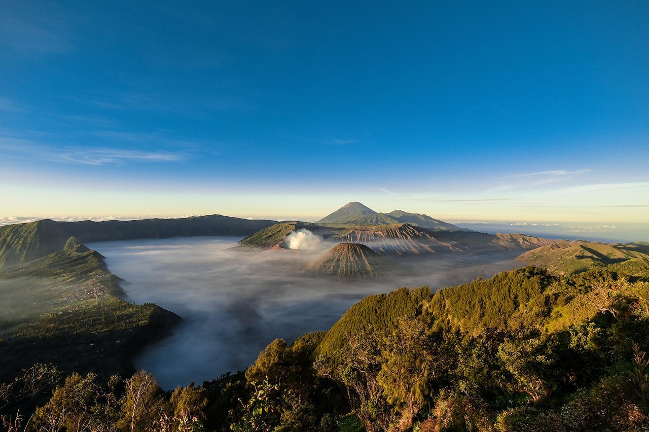 Grand Whiz Hotel Bromo Dış mekan fotoğraf